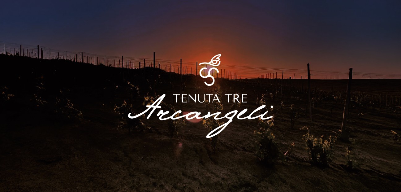 Tenuta Tre Arcangeli Brand Identity e Sito Web per un'Azienda Vitivinicola